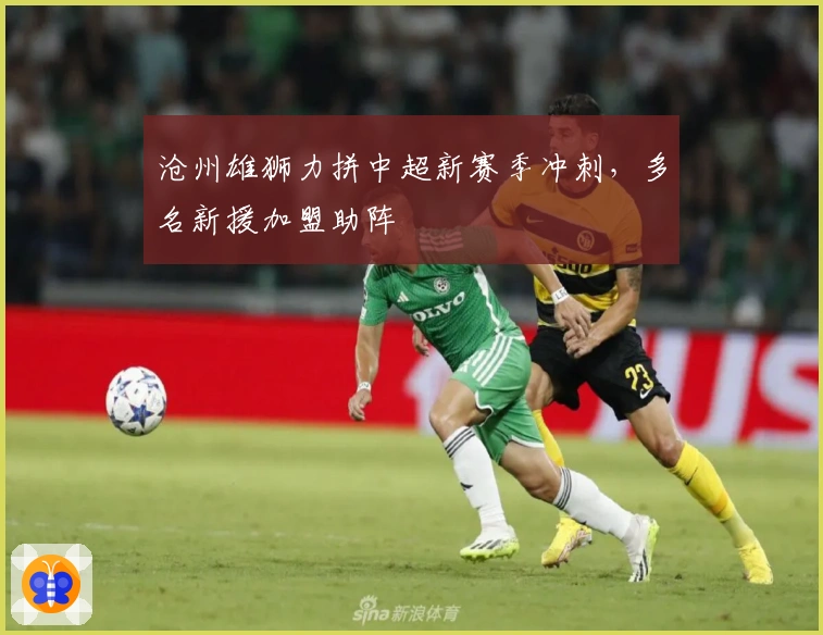 沧州雄狮力拼中超新赛季冲刺，多名新援加盟助阵